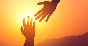 Cancer and taurus compatibility is strong, which can lead to fulfilling and positive relationships. Taurus And Cancer Compatibility Love Sex Relationships Zodiac Fire