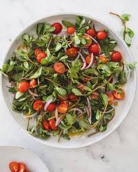 Image result for Portulaca kermesina