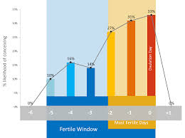 Fertility Window Chart Bedowntowndaytona Com