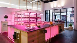 Ikea Lab Space10 Creates Hydroponic Farm Growing Extra Healthy Salads Hydroponics Indoor Farming Big Design