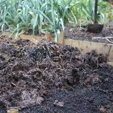 The longer it decomposes, the more concentrate tea liquid fertilizer you will get. Seaweed For Growing Potatoes