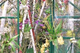 Garten und freizeit nürnberg , rosarium in hattersheim | blume, garten, hattersheim, freizeit: Freizeit Messe Nurnberg Startseite Facebook