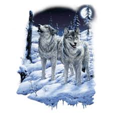 Wolf Lunar Calling Size Youth Small To 6 X Large T Shirt Pick Your Size Ebay