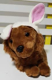 Why don't you let us know. Dachshund Puppy Dog Plush Toy Peter Alexander Bunny Hat Soft Toy About 37cm Ebay