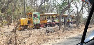 Sanjay Gandhi National Park(SGNP) + ...