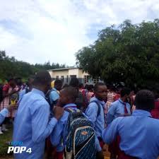 Drug Enforcement Commission...