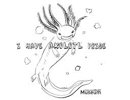 A beautiful collection of 10 axolotl illustrations for hours of fun!axolotl is a unique and quite rare animal. A Fun Pride Coloring Page A Local Artist Made I Had To Share Axolotls