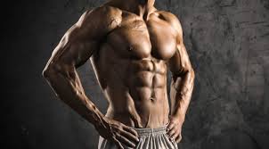 Check spelling or type a new query. Ø¥Ø¨Ø±Ø§Ø² Ø¹Ø¶Ù„Ø§Øª Ø§Ù„Ø¨Ø·Ù† ÙÙŠ ÙˆÙ‚Øª Ù‚ÙŠØ§Ø³ÙŠ Ø·Ø¨Ù‚ Ø§ Ù„Ù„Ø£Ø³Ø³ Ø§Ù„Ø¹Ù„Ù…ÙŠØ© Ø¬ÙŠÙ… Ø¨ÙˆØ³Øª Gym Boost