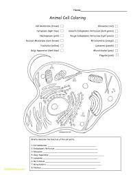 Scopri ricette, idee per la casa, consigli di stile e altre idee da provare. Cellular Respiration Coloring Worksheet Theme Library