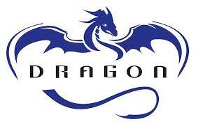 I Created A Series Of Ultra High Resolution Spacex Dragon Logos Dragon Silhouette Dragon Drawing Dragon