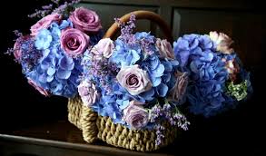Combines a basket of flowers, a satchel of cards and a thunder bluff pledge collection into a thunder bluff gift collection. Hydrangea Hd Wallpapers Backgrounds