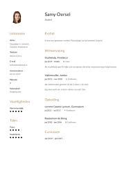 Cv Voorbeeld Student 2022 Gratis Downloaden In Word Pdf