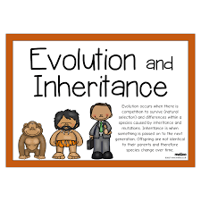 Evolution and Inheritance | Science | KS2