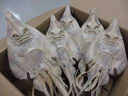 Meski bukan jenis ikan yang ganas, pari punya senjata mematikan di bagian ekornya yang beracun. Si Juki 5 Anak Ini Durhaka Pada Orang Tua Dan Dikutuk Jadi Ikan Pari Yang Ngerti Anak Yang Taon Dua Rebuan Udah Pegang Hape Bisa Bluetooth Atau Infrared Dari Dulu