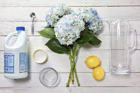Maybe you would like to learn more about one of these? How To Make Your Own Flower Food