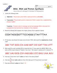 Page 41 page 42 page 43. 29 Rna And Protein Synthesis Gizmo Worksheet Answers Free Worksheet Spreadsheet