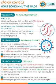 Việt nam siết chặt thêm việc phong tỏa các thành phố lớn để ngăn dịch. Tim Hiá»ƒu Vá» Cac Loáº¡i Váº¯c Xin Phong Covid 19 Ä'Æ°á»£c Phe Duyá»‡t Táº¡i Viá»‡t Nam