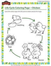 Here's a set of free printable alphabet letter images for you to download and print. Chicken Life Cycle Online Coloring Pages For Kids Sod