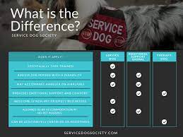 Pin On Service Dogs