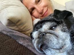 Dealing with grief after losing a pet