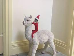 Pin By Brea Barnes On Elf On The Shelf Dinosaur Stuffed Animal Llama Alpaca Alpaca
