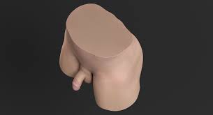 男性の性器 3Dモデル $139 - .max .fbx .gltf .obj .ma .upk .unitypackage .c4d .usd  .unknown - Free3D