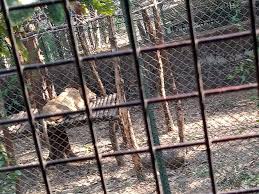 Reviews for Sanjay Gandhi National Park ...