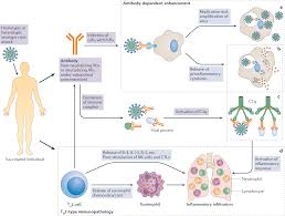 We did not find results for: Learning From The Past Development Of Safe And Effective Covid 19 Vaccines Nature Reviews Microbiology