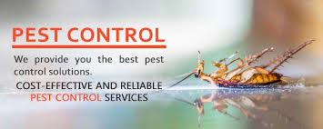 Compared to infestation control solutions designed for other types of choose an ant extermination company that has already built a good reputation in the industry. Jupiter Pest Control Services Home Facebook