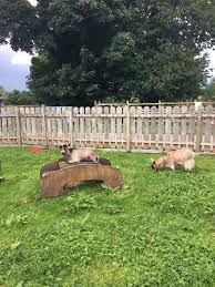 Finvoy Fun Farm Ballymoney 2021 All You Need To Know Before You Go With Photos Ballymoney Northern Ireland Tripadvisor