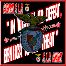 Https Encrypted Tbn0 Gstatic Com Images Q Tbn 3aand9gcqkc043td7zo5df4ua5xladnq0rr2bu0gs4yg Usqp Cau