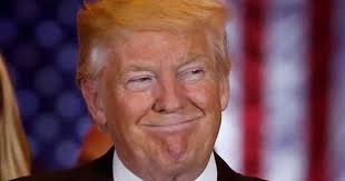 Devon County Council refuses to condemn Trump over climate change