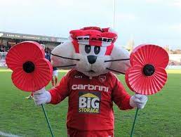 Centenary rocks is a 3 day music festival to celebrate 100 years of morecambe fc. Pin By M C Dec On Mascots Mascot Cats Sports Advertising
