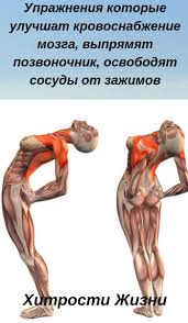 с помощью каких упражнений можно убрать живот и бока Uprazhneniya Kotorye Uluchshat Krovosnabzhenie Mozga Vypryamyat Pozvonochnik Osvobodyat Sosudy Ot Zazhimov Health Fitness Yoga Health Yoga Muscles