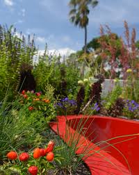 Landscape company in hawthorne, new jersey. Field Of Dreams Greening The Urban Landscape