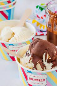 Vanilla Bean Ice Cream With Homemade Ice Magic
