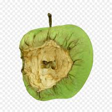 Apel baik = 10 apel busuk = 6 jumlah seluruh apel = 16 diambil 2 apel secara acak. Fotografer Hari Waktu Gambar Png