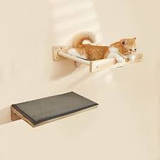 Fun cat hammock bed with a modern vibe. 12 Best Wall Mounted Cat Shelves To Buy Of June 2021 Buying Guides Reviews By Experts