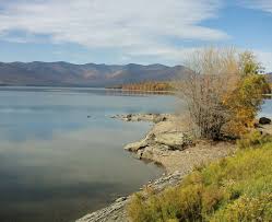 Image result for Cyperus longicarpus