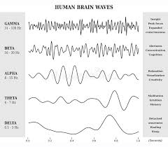 brain waves alpha stock illustrations 53 brain waves alpha