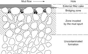 Test Filter An Overview Sciencedirect Topics