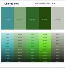The combo library contains pages of blue green color combinations (a.k.a, color schemes and color palettes) for you to choose from. 38 Latest Color Schemes With Forest Green And Silver Color Tone Combinations 2021 Icolorpalette