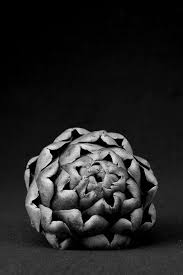 He began photographing at the age of sixteen after receiving a bull's eye #2 camera from his father. 100 Still Life Ideas Still Life Still Life Photography Wolfgang Tillman