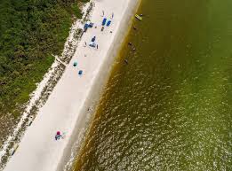 Karenia brevis, the florida red tide organism, lingers in background to very low concentrations inshore of northern sarasota county. Colliercountysheriff On Twitter One Of Our Drones Captured This Aerial View Of Vanderbilt Beach With A Large Algae Bloom Close To Shore Today The Florida Fish And Wildlife Conservation Commission Says A
