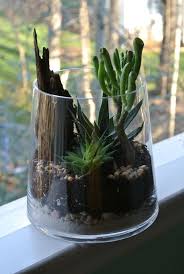 Terrarium Supply 3pack Sand Stone And Charcoal By Thezensucculent Terra Gardens Air Plants Care Ideal Gardens