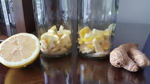 We did not find results for: Lemon Ginger Kombucha Recipe Bucha Brewers