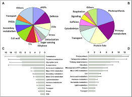 Functional Analysis Of Genes Differentially Expressed During