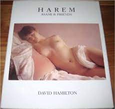 Harem: Asami and Friends: David Hamilton: 9784796203159: Amazon.com: Books