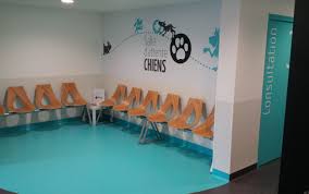 Showroom Jcda Veterinaire Marquage Au Sol De La Salle D Attente Chien Clinique Veterinaire Veterinaire Salle D Attente