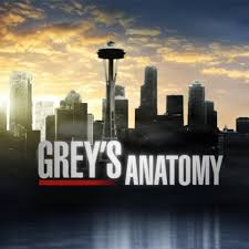 Regarder grey's anatomy saison 16 en streaming. Grey S Anatomy Und Seattle Firefighters Gehen Bei Disney In Pause Fernsehserien De